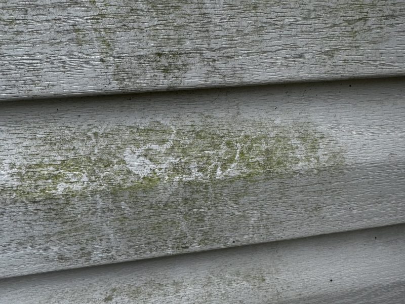 Zielony nalot na sidingu przed czyszczeniem – efekt wilgoci i rozwoju glonów.