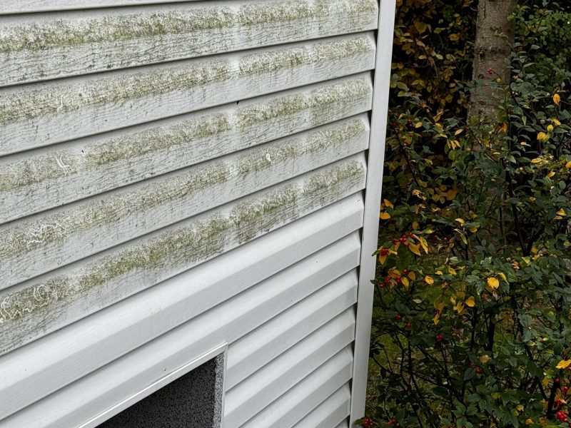 Efekt przed i po myciu sidingu – czysta i odnowiona elewacja domu.